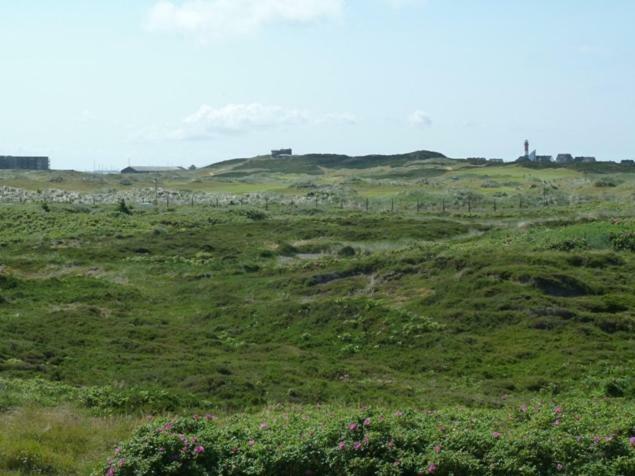Südblick